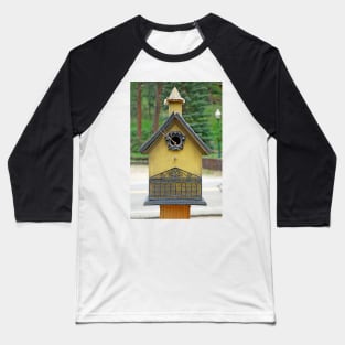 Glen Haven Bird Houses Study 13 Baseball T-Shirt